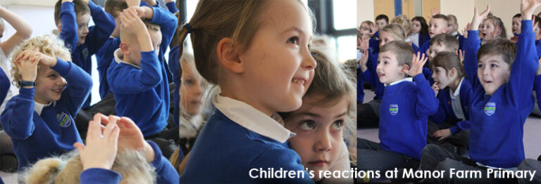 Manor farm photo stream